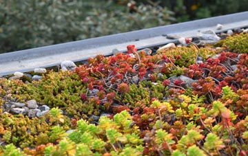 the cost of Kirk Hallam green roof installation